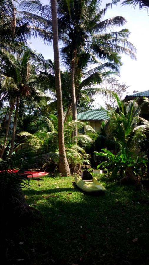 Paradise Palms Κο Τσανγκ Εξωτερικό φωτογραφία