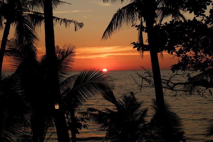 Paradise Palms Κο Τσανγκ Εξωτερικό φωτογραφία